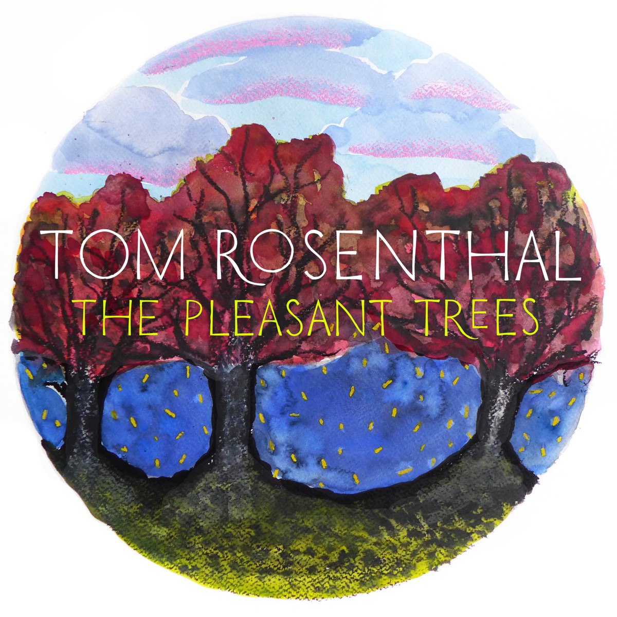 Tom Rosenthal - It s Ok