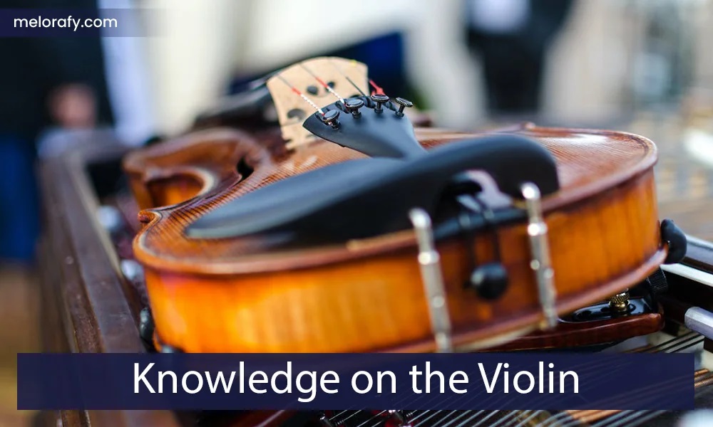 Knowledge on the Violin12