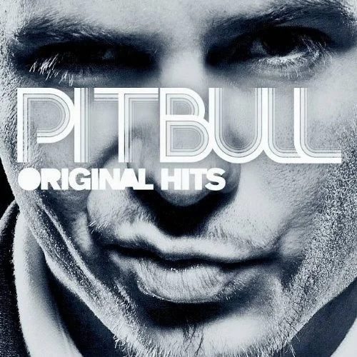 Pitbull - Midnight Casely