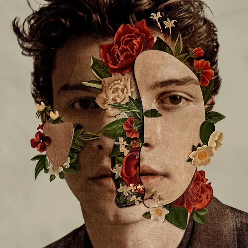 Shawn Mendes - I Don't Even Know Your Name
