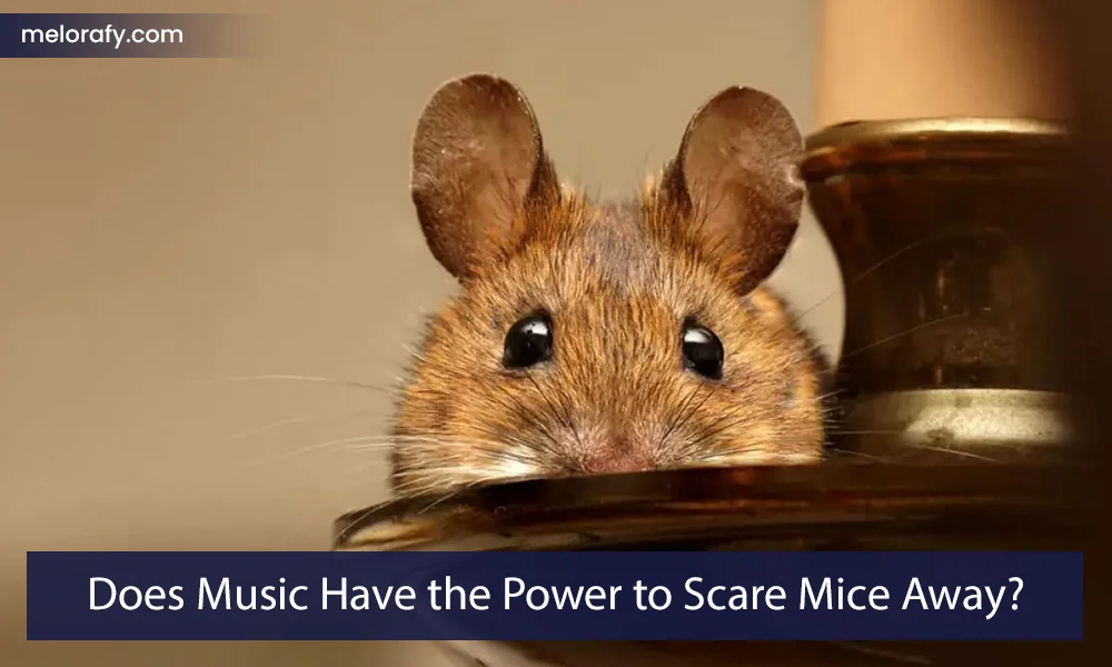 Does Music Have the Power to Scare Mice Away?