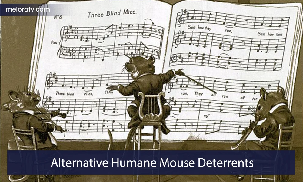 Alternative Humane Mouse Deterrents