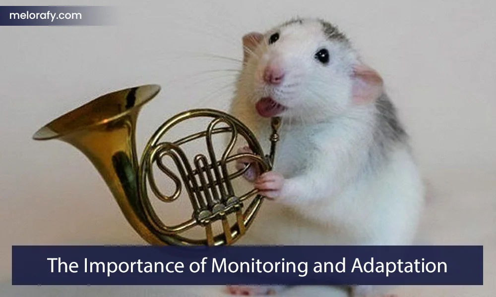 The Importance of Monitoring and Adaptation