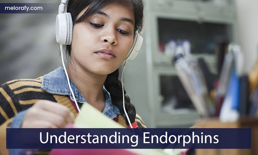 Understanding Endorphins