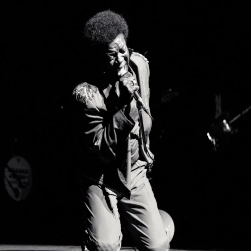Charles bradley - Crazy For Your Love