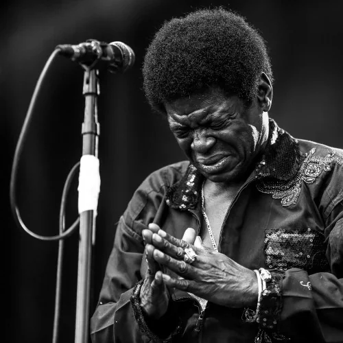 Charles bradley - Trouble In The Land